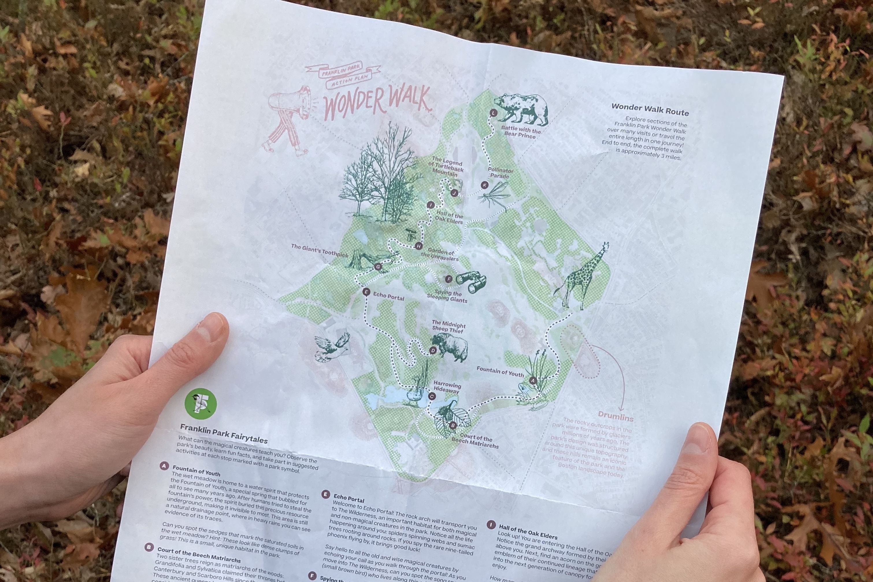 Urban Forest Master Plan - City of Cambridge, MA